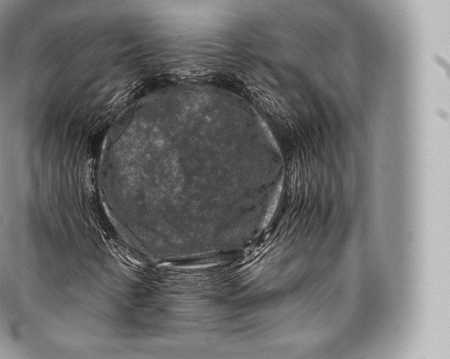 X0000096481346200802141712