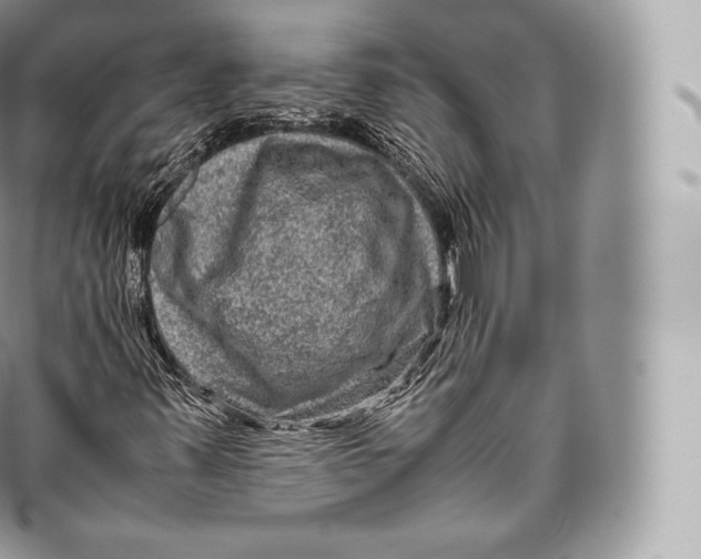 X0000096481347200802141712