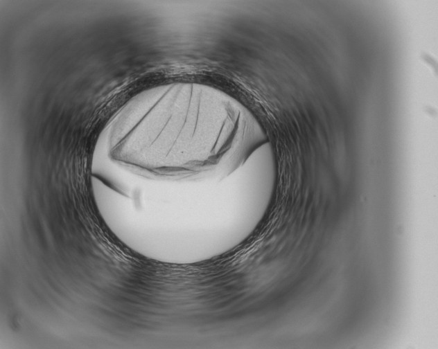 X0000096481348200802141712