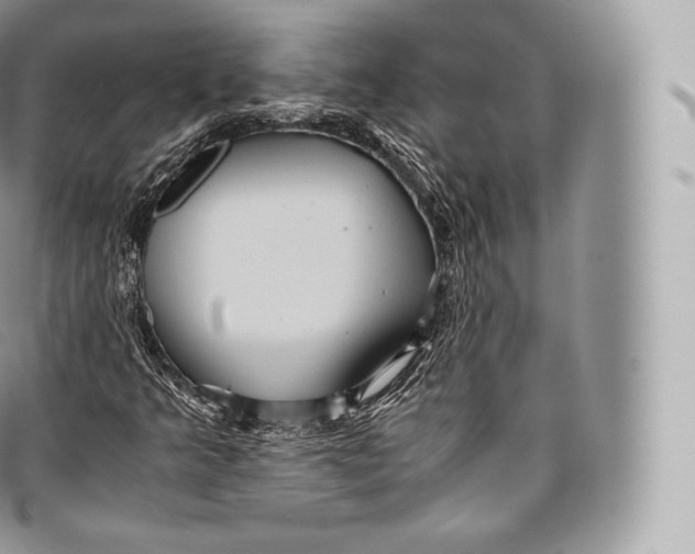 X0000096481349200802141712