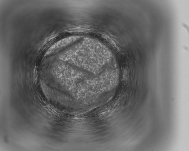 X0000096481350200802141712