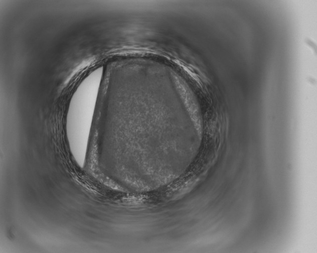 X0000096481351200802141712