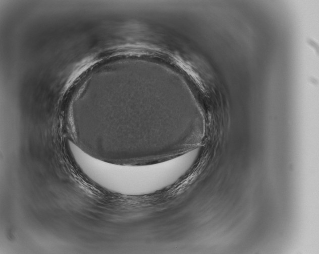 X0000096481352200802141712