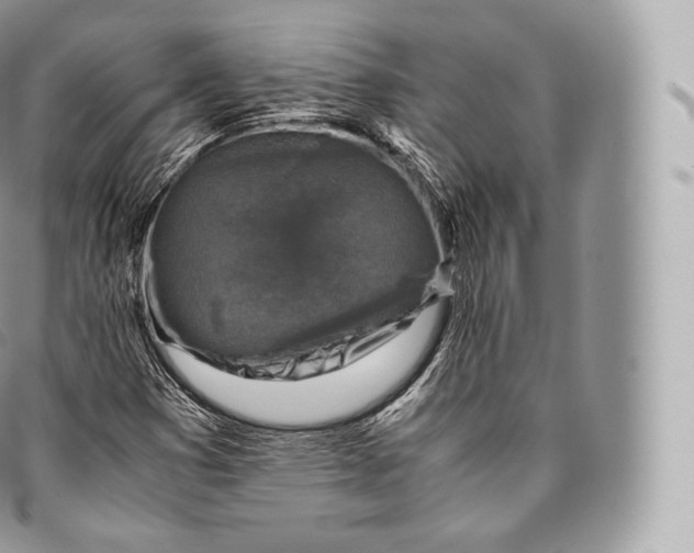 X0000096481353200802141712