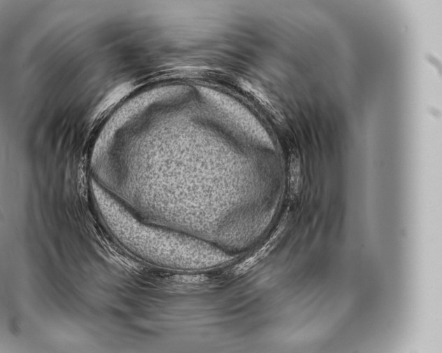 X0000096481354200802141711