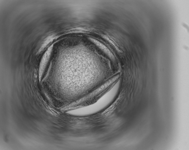 X0000096481355200802141711