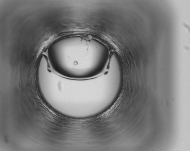 X0000096481357200802141711