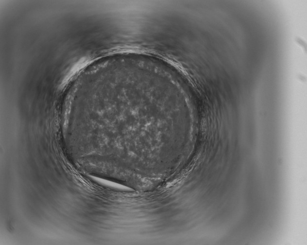 X0000096481359200802141711