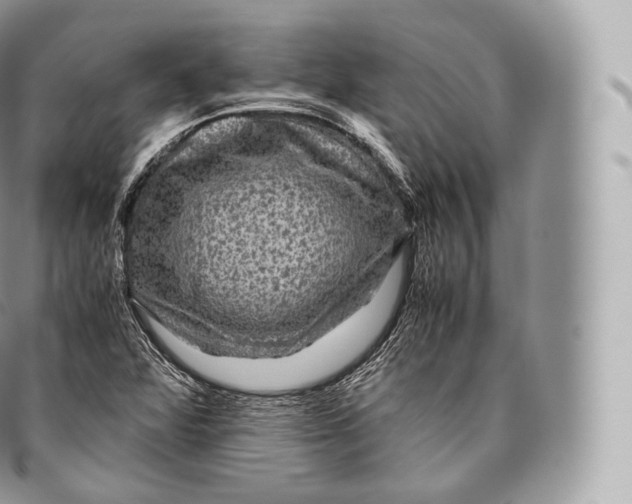 X0000096481360200802141711