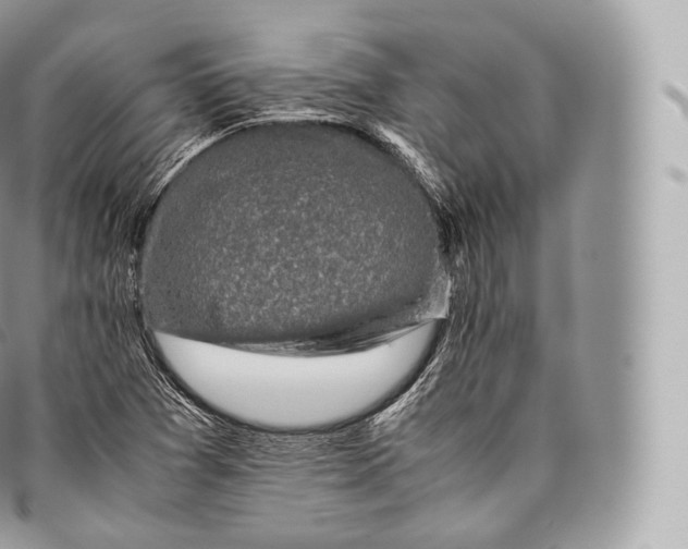 X0000096481361200802141711