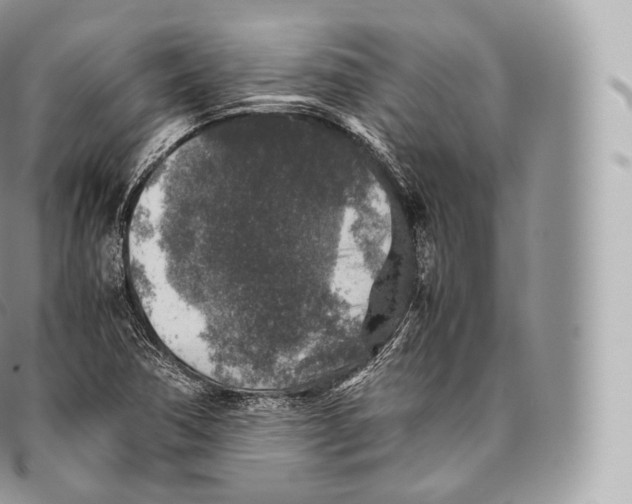 X0000096481362200802141711