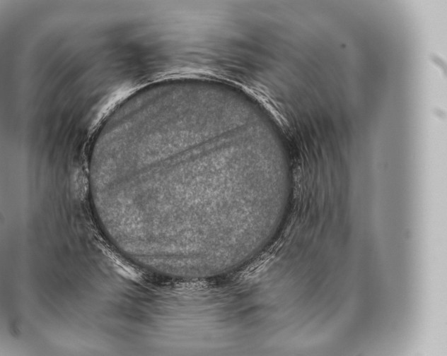 X0000096481363200802141711