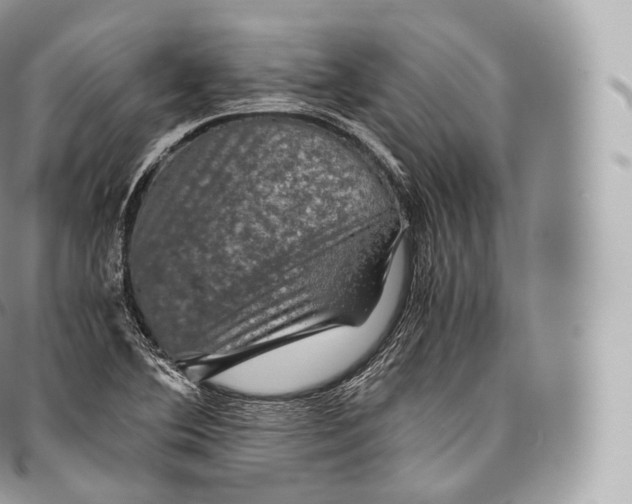 X0000096481364200802141711