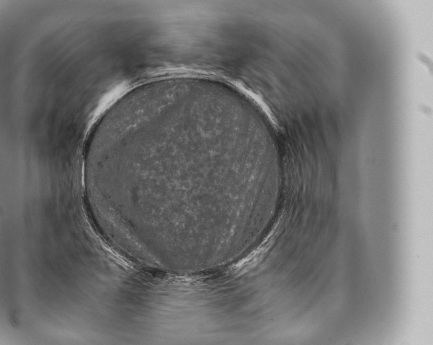 X0000096481365200802141711