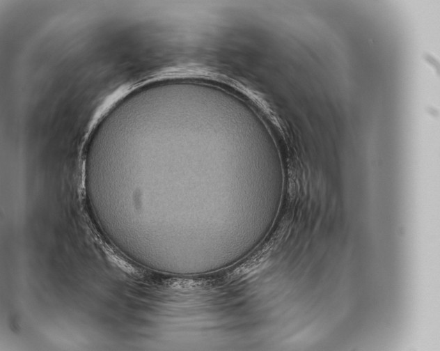 X0000096481366200802141711