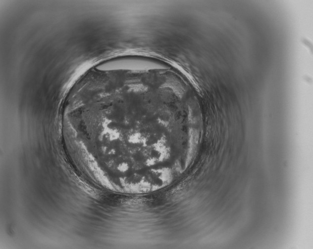 X0000096481367200802141711