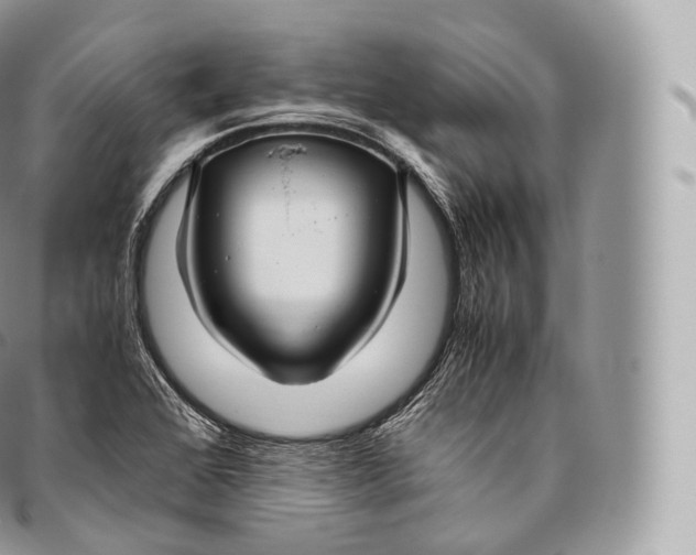 X0000096481368200802141711