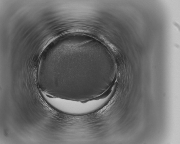 X0000096481369200802141711