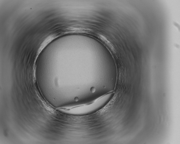 X0000096481370200802141711