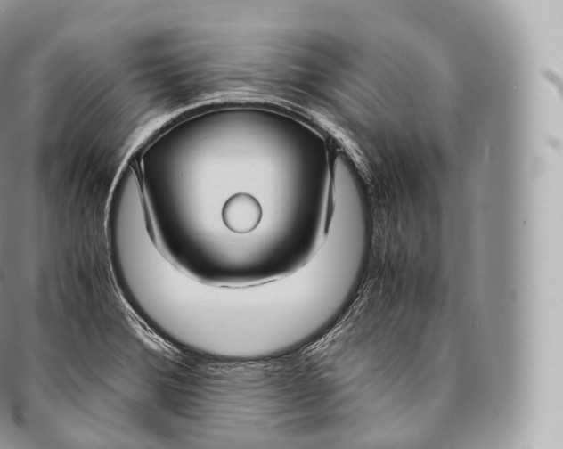 X0000096481372200802141711