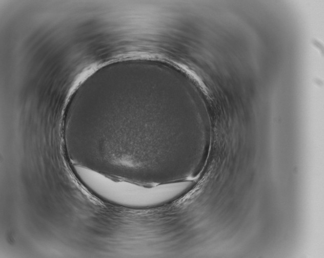 X0000096481373200802141711