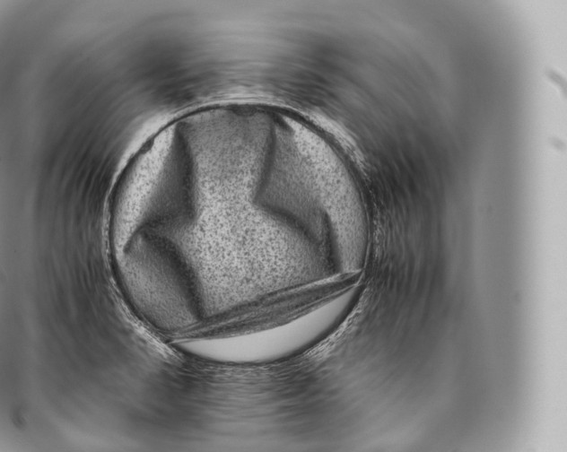 X0000096481374200802141711