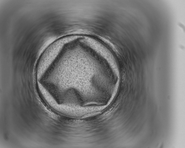 X0000096481375200802141711