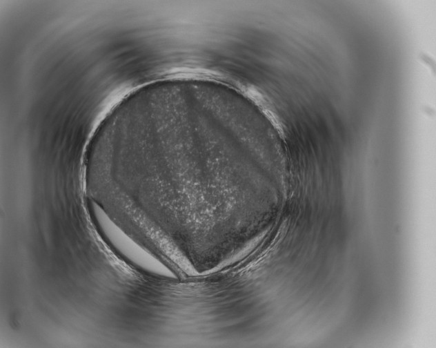 X0000096481376200802141711