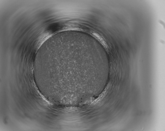 X0000096481377200802141711