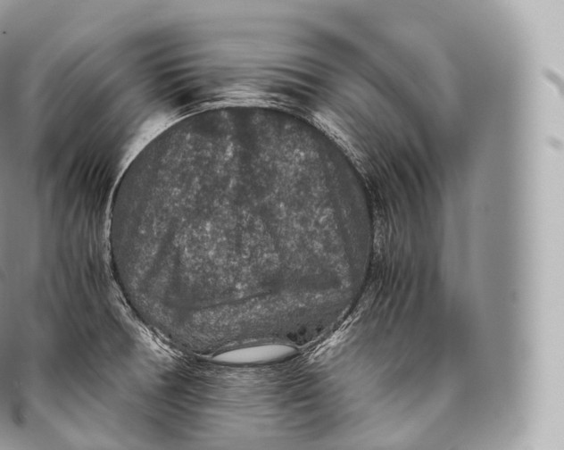 X0000096481378200802141711