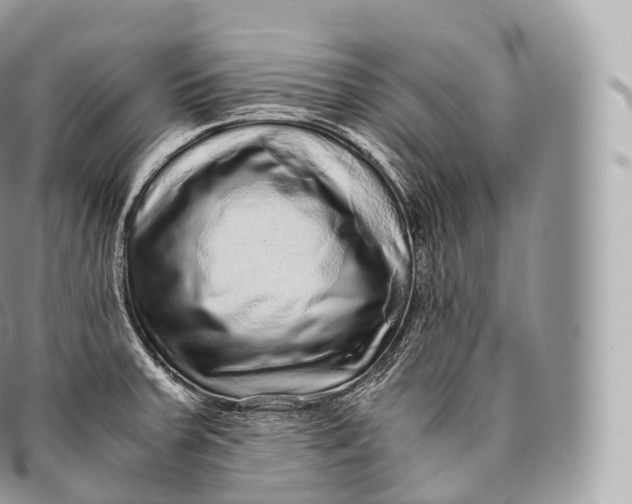 X0000096481379200802141711