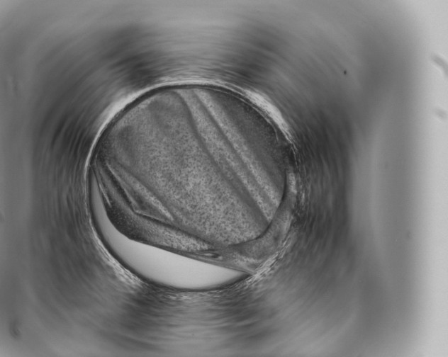 X0000096481380200802141711