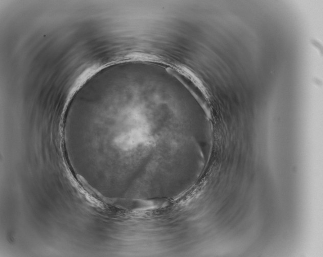 X0000096481381200802141711