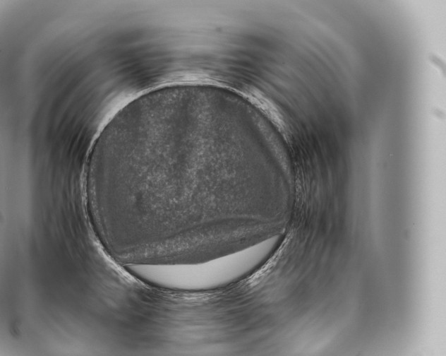 X0000096481382200802141711