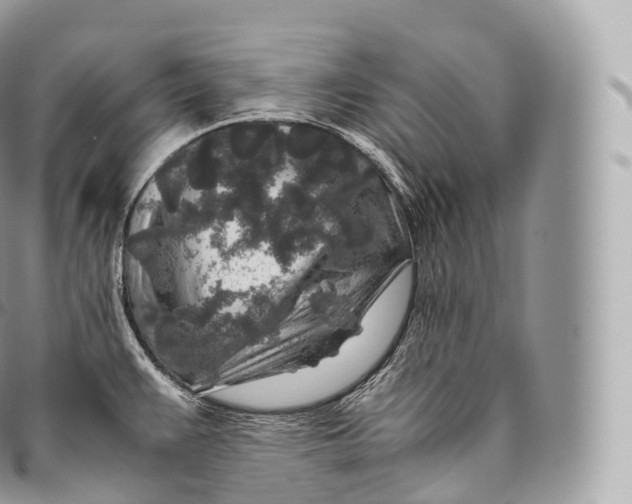 X0000096481383200802141711