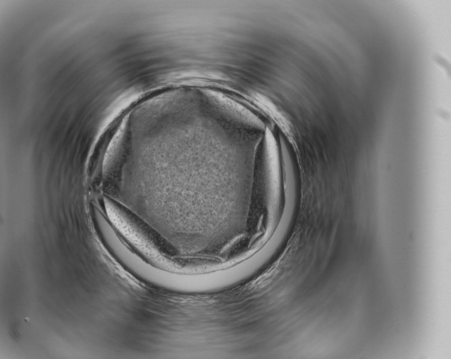 X0000096481384200802141711