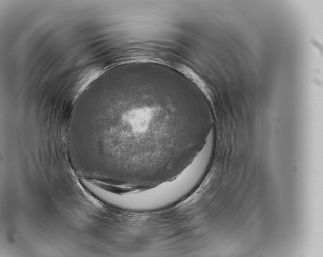 X0000096481385200802141711