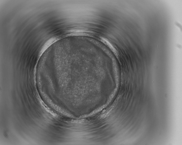 X0000096481386200802141711