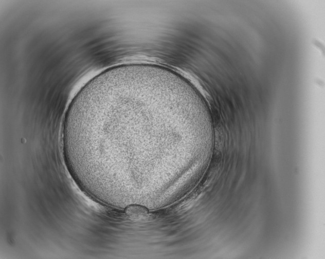 X0000096481387200802141711