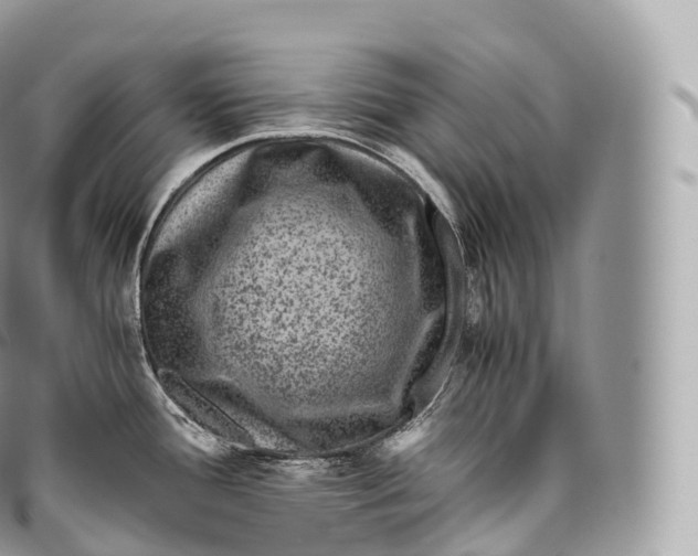 X0000096481388200802141711