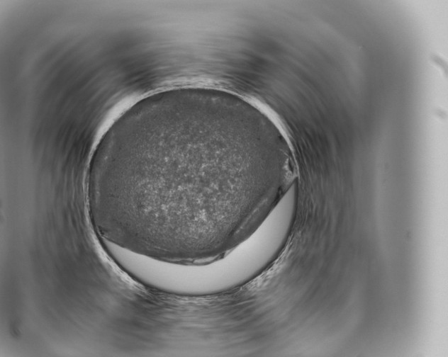 X0000096481389200802141711