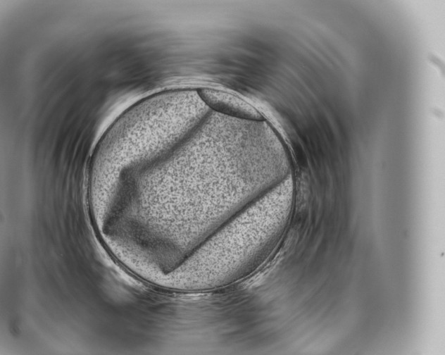 X0000096481390200802141711