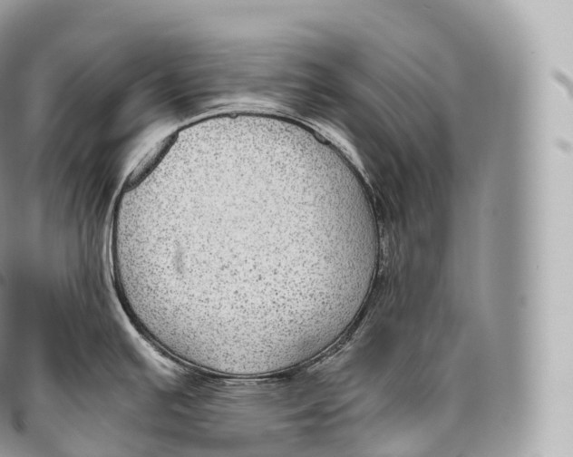 X0000096481391200802141711