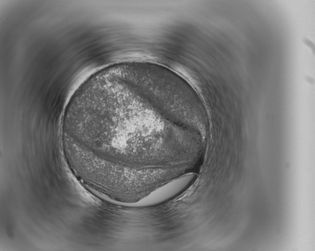 X0000096481392200802141711