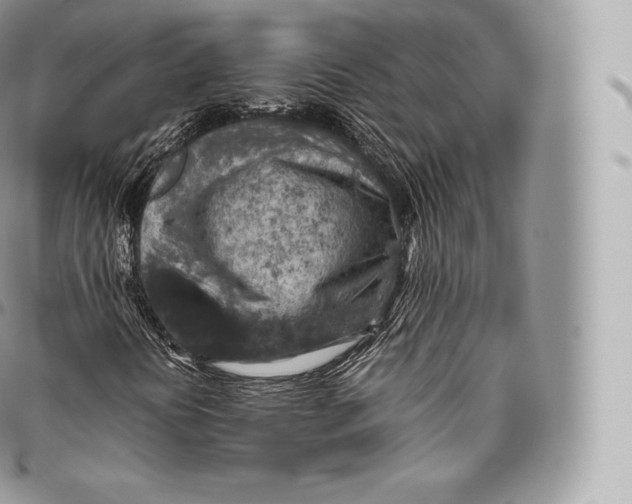 X0000096481394200802141710