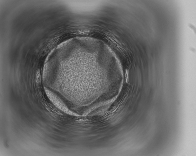 X0000096481395200802141710