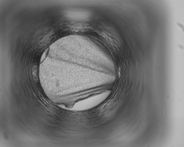 X0000096481396200802141710