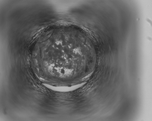 X0000096481397200802141710