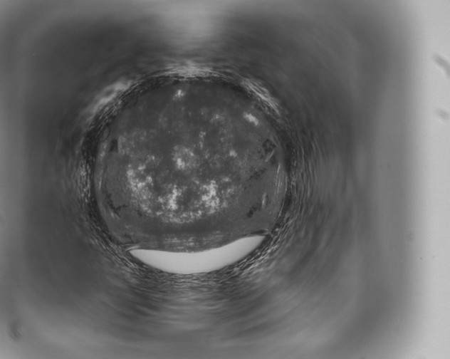 X0000096481398200802141710