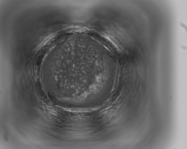 X0000096481399200802141710